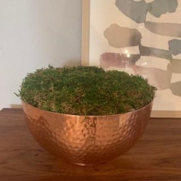 Copper Farmhouse Moss Bowl / Table Centerpiece